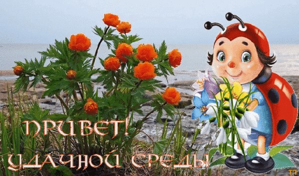 Открытки